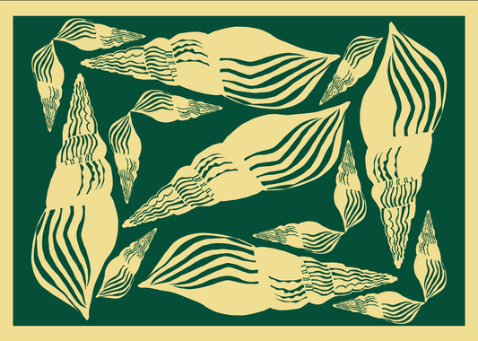 Pattern of cone shells mixed up togethe