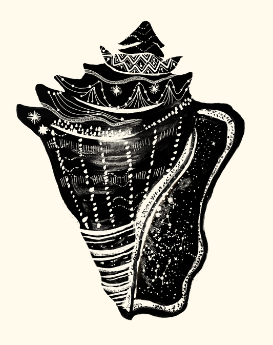 Conchstellation