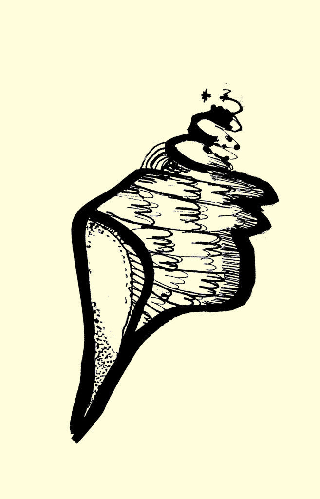 Shells