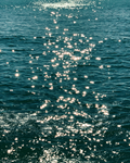 Ocean photograph print titled Pure Magic, showing sunlight sparkling across deep teal water with rippling waves.