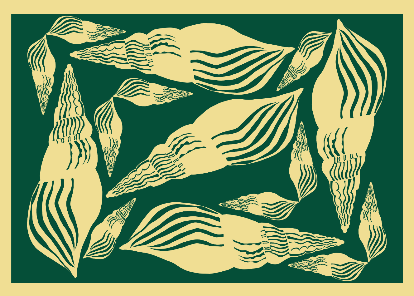 Pattern of cone shells mixed up togethe