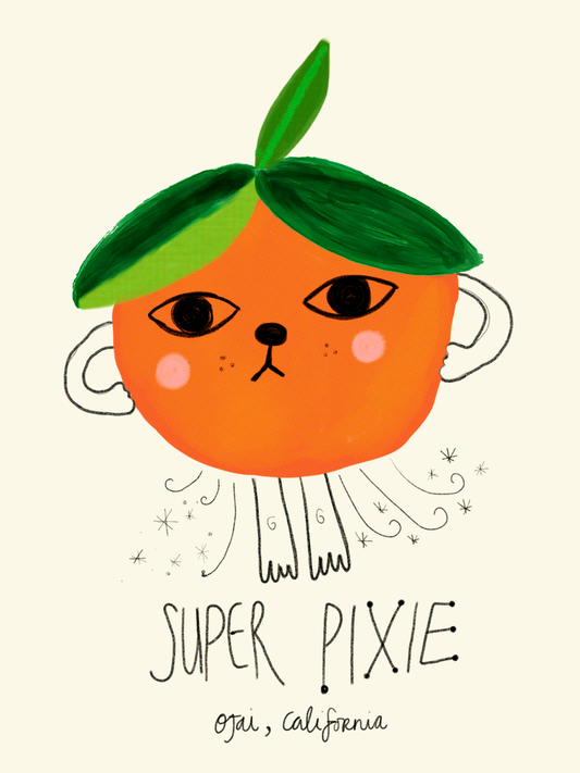 Super Pixie