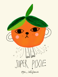 Super Pixie